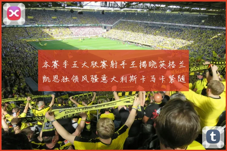 本赛季五大联赛射手王揭晓英格兰凯恩独领风骚意大利斯卡马卡紧随其后